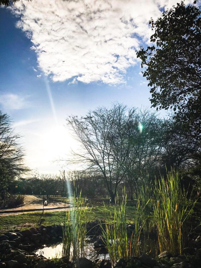 Olerai Lodge Arusza Zewnętrze zdjęcie